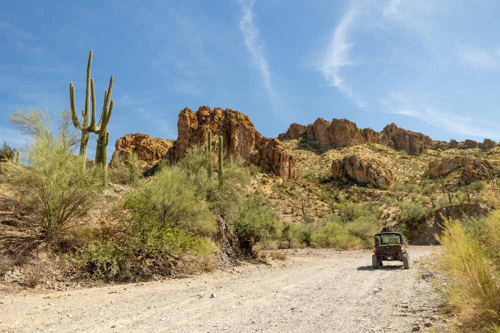 A UTV on a trail next to a cactus
