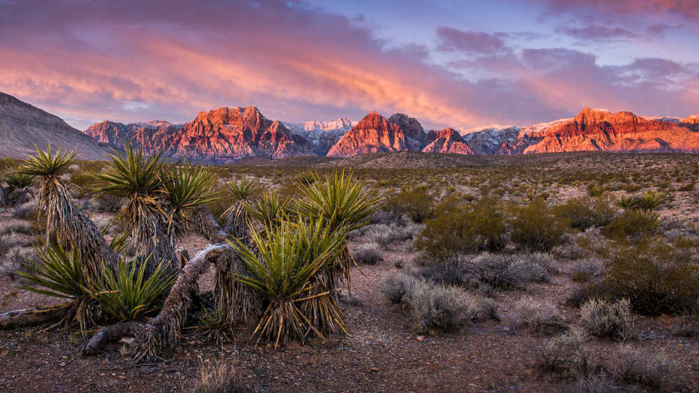 Sunrise in Red Rock Canyon